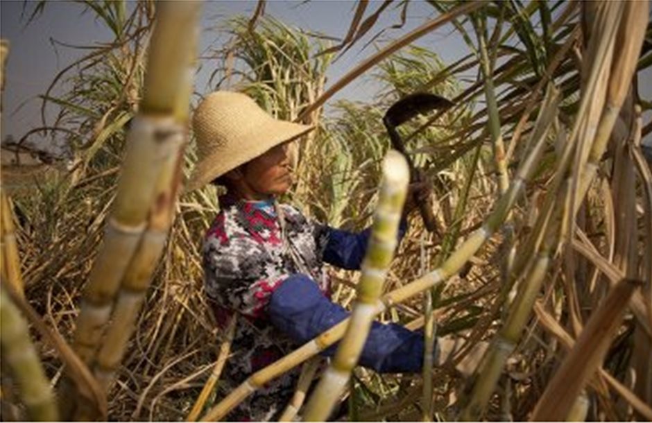 Δασμούς για μια 3ετία στις εισαγωγές ζάχαρης επέβαλε η Κίνα